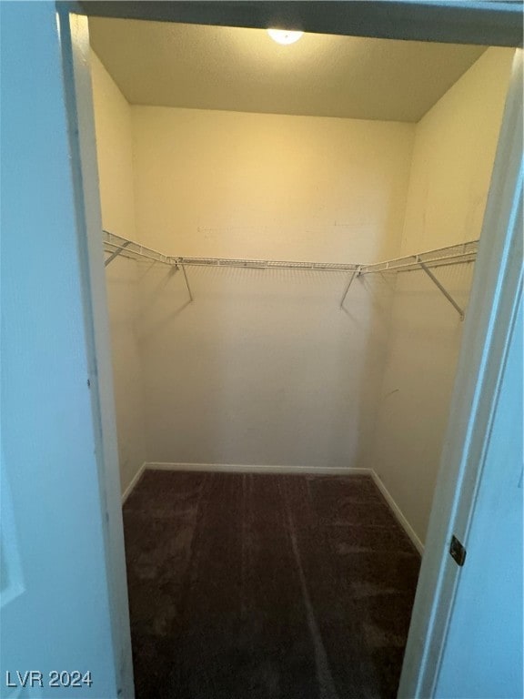 walk in closet with carpet