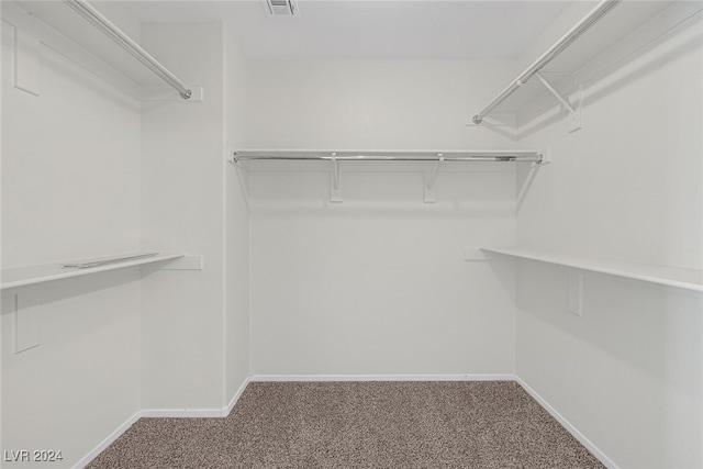 spacious closet with carpet floors