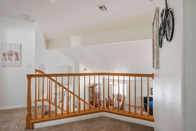 staircase featuring carpet flooring