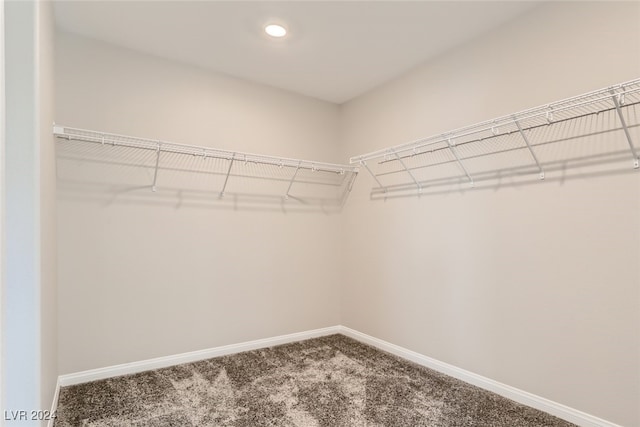 walk in closet featuring carpet floors