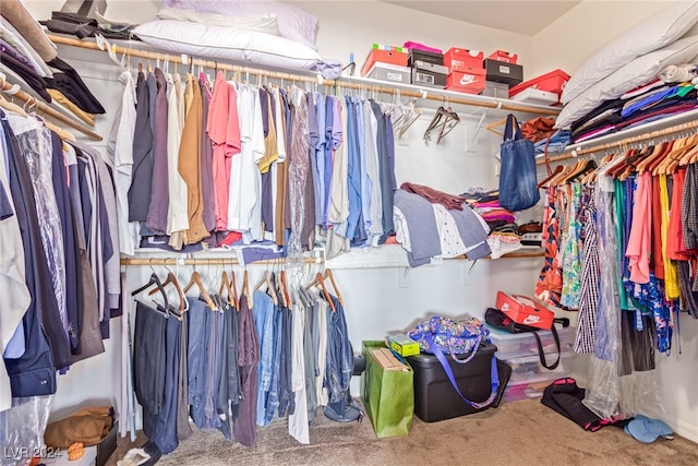 spacious closet featuring carpet floors