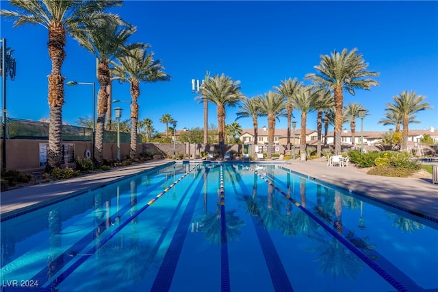 view of swimming pool with a patio