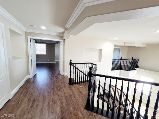 corridor with ornamental molding and dark hardwood / wood-style flooring