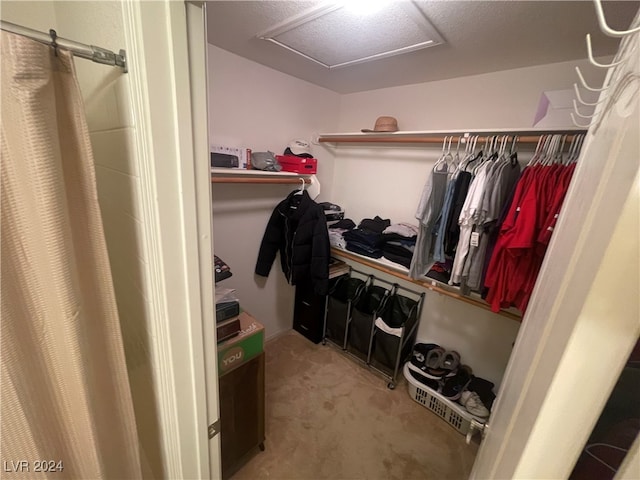 walk in closet featuring carpet floors