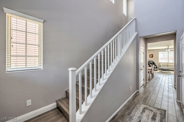 stairs with hardwood / wood-style flooring