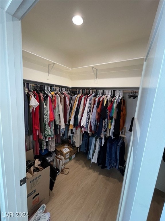 walk in closet with wood-type flooring