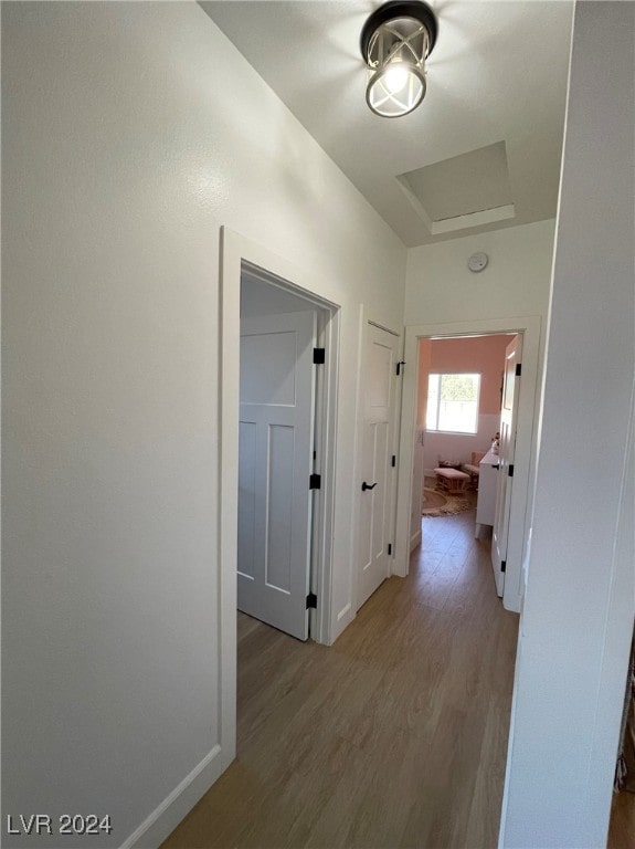 hall featuring light hardwood / wood-style floors