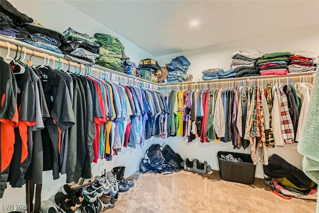 spacious closet with carpet