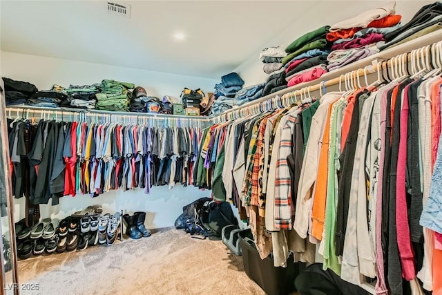 walk in closet featuring carpet flooring