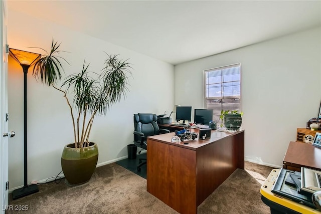 view of carpeted home office