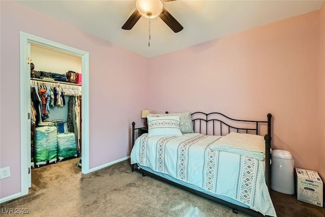 bedroom featuring a walk in closet, carpet flooring, ceiling fan, and a closet