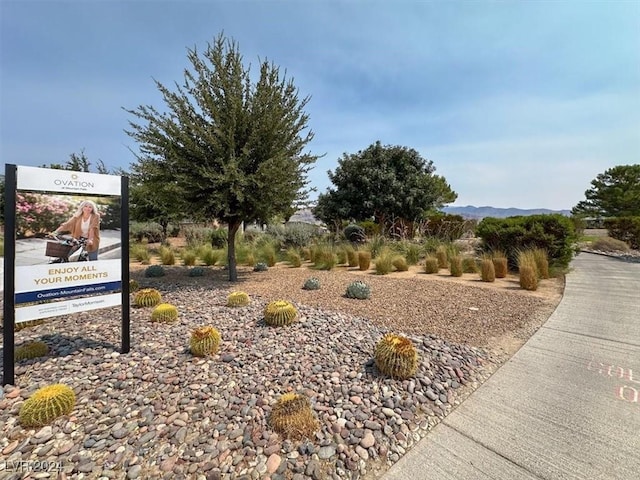 5119 E Long Leaf Ct, Pahrump, NV 89061 - photo 50