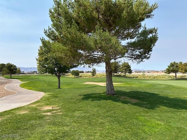 5119 E Long Leaf Ct, Pahrump, NV 89061 - photo 51