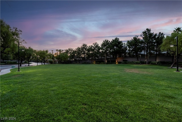 view of yard at dusk