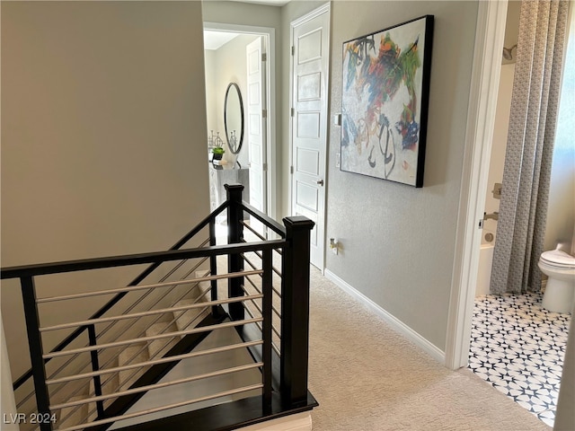 stairway featuring carpet floors