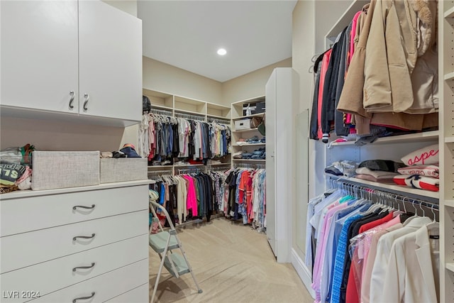 spacious closet with light colored carpet