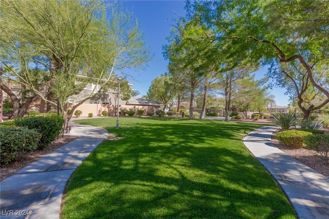 view of property's community with a lawn