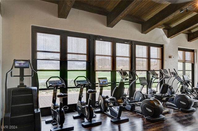 workout area with lofted ceiling, wood-type flooring, wood ceiling, and a wealth of natural light