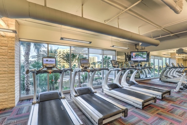 exercise room featuring a healthy amount of sunlight and carpet floors