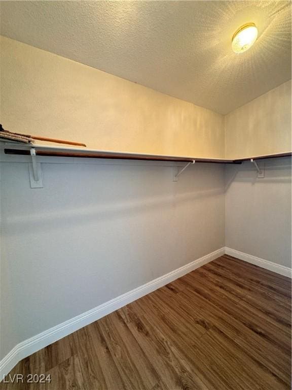 spacious closet featuring dark hardwood / wood-style floors