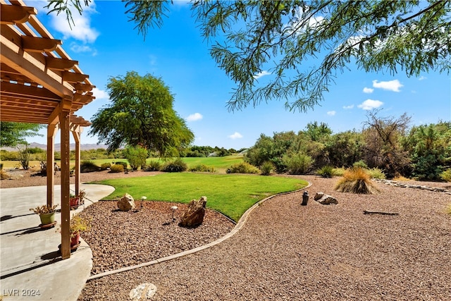 view of yard with a pergola and a patio