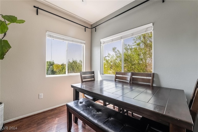 dining space with dark wood-type flooring and a healthy amount of sunlight