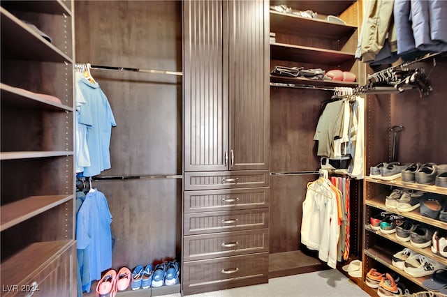 view of spacious closet