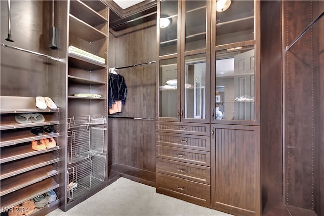 walk in closet with carpet floors