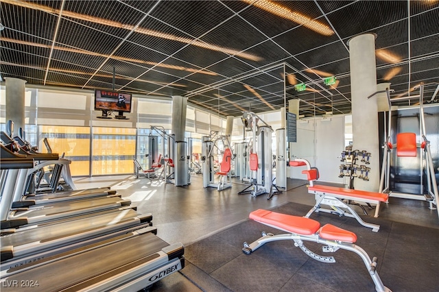 exercise room with plenty of natural light