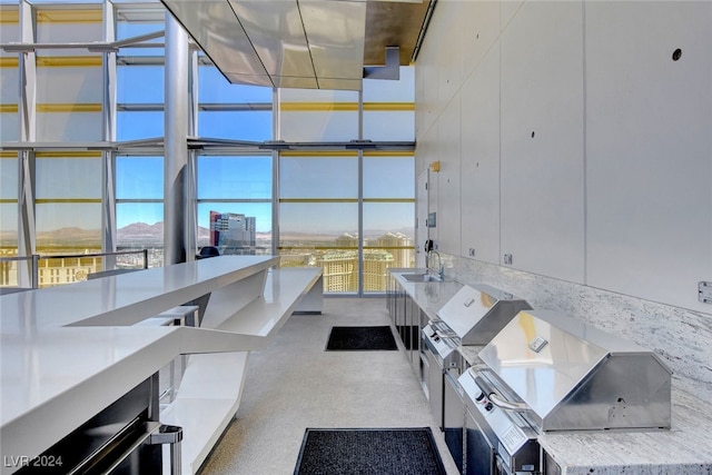 interior space with sink and grilling area