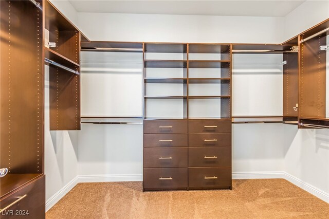 spacious closet with light carpet