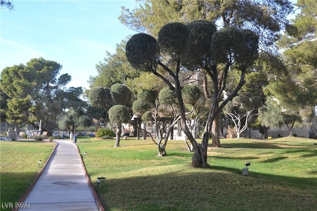 view of community featuring a yard