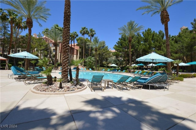 view of swimming pool with a patio