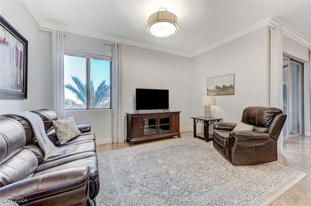 living room featuring baseboards and crown molding