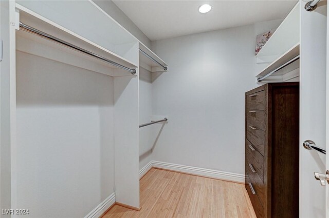 spacious closet featuring light wood-style floors