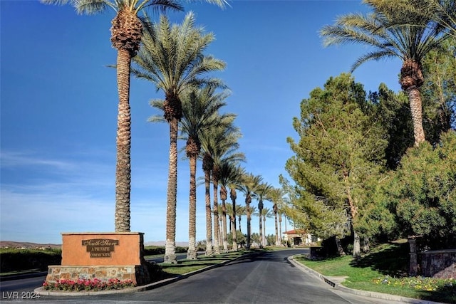 view of street with curbs