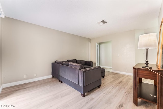 living room featuring light hardwood / wood-style floors