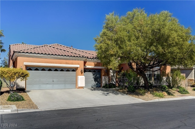 view of front facade with a garage