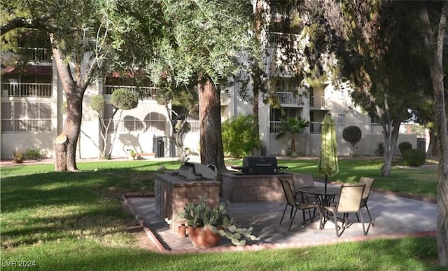 surrounding community featuring a yard, a patio, and exterior kitchen