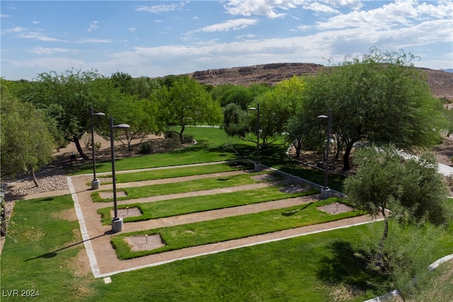 view of property's community with a yard