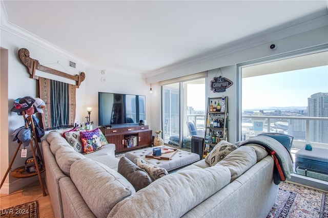 living room featuring ornamental molding