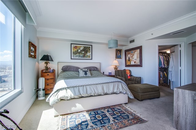 bedroom with a spacious closet, a closet, carpet floors, and crown molding