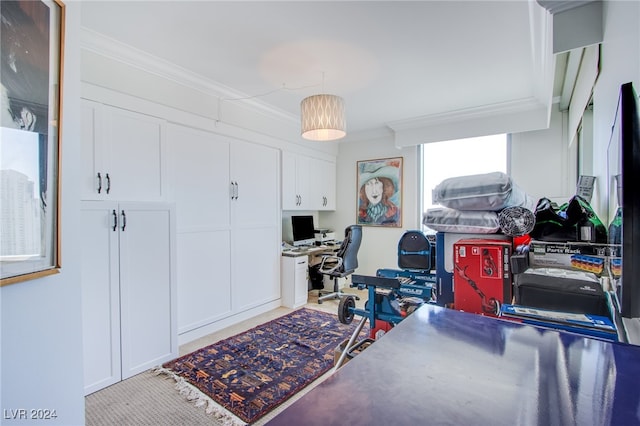 interior space with crown molding and light carpet