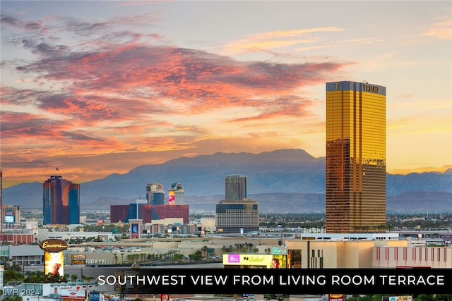 city view featuring a mountain view