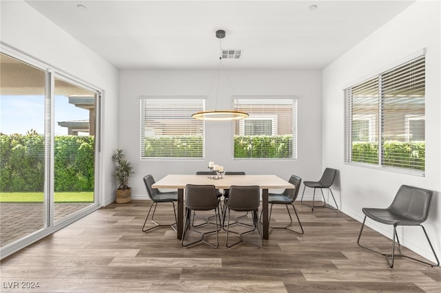 dining room with wood-type flooring and a wealth of natural light