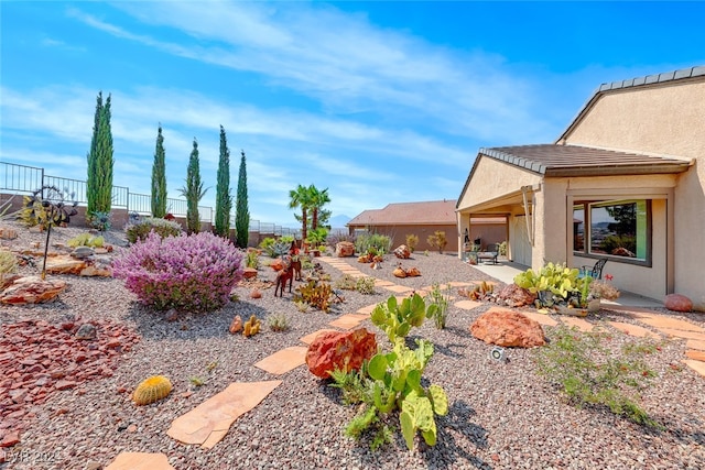 view of yard with a patio area