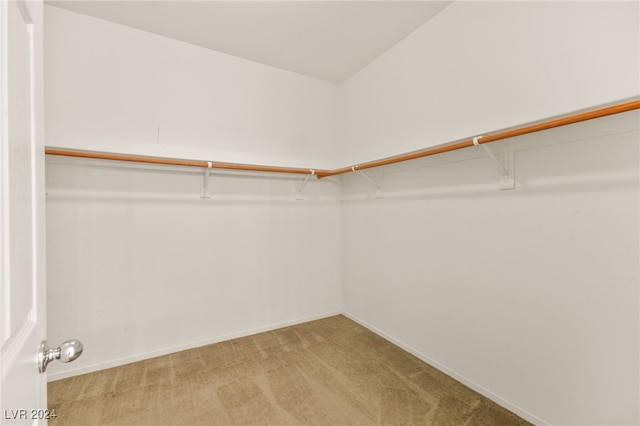 spacious closet featuring light colored carpet