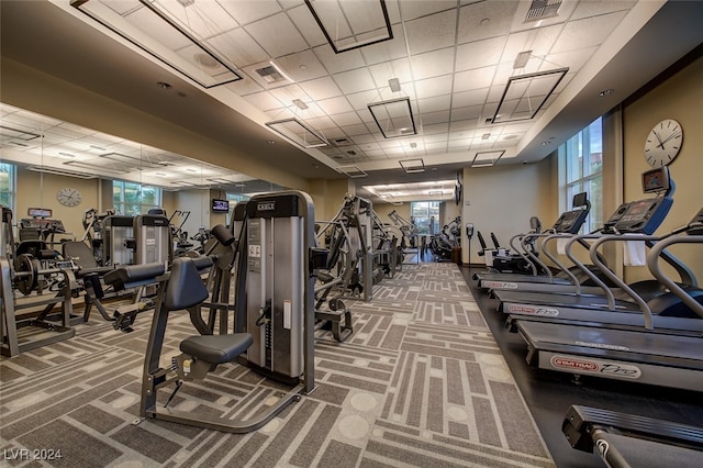 gym featuring a paneled ceiling, carpet flooring, and plenty of natural light