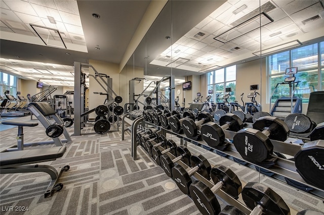 gym with carpet flooring