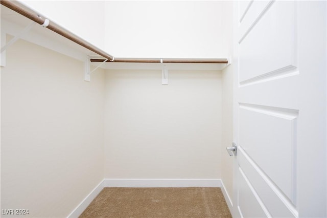 spacious closet with carpet